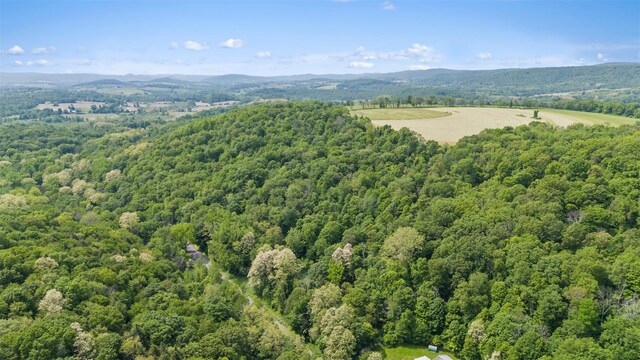 0 Mill Rd, Millerton, NY 12546 - photo 4