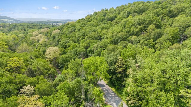 0 Mill Rd, Millerton, NY 12546 - photo 5
