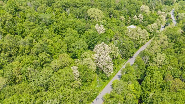 0 Mill Rd, Millerton, NY 12546 - photo 6