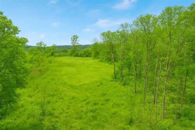 0 Mill Rd, Millerton, NY 12546 - photo 9
