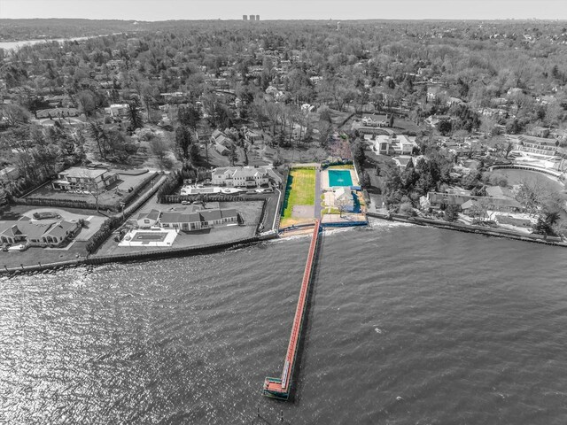 33 Harbour Rd, Great Neck, NY 11024 - photo 32