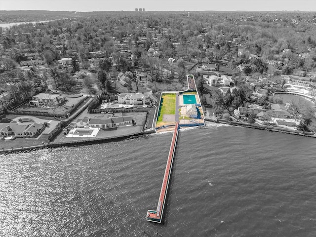 33 Harbour Rd, Great Neck, NY 11024 - photo 31