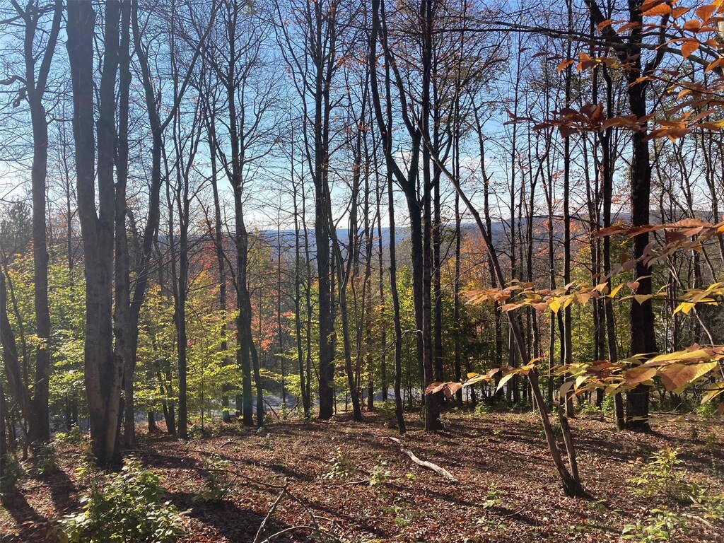 TBD White Roe Lake Rd, Livingston Manor, NY 12758