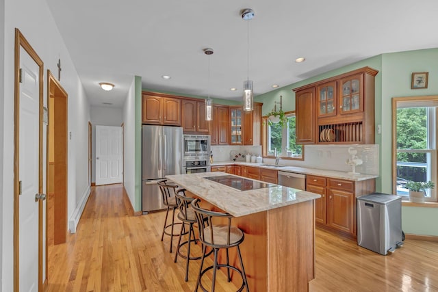309 Quannacut Rd, Pine Bush, NY 12566 - kitchen with stainless steel appliances, a sink, light wood-style floors, plenty of natural light, and recessed lighting