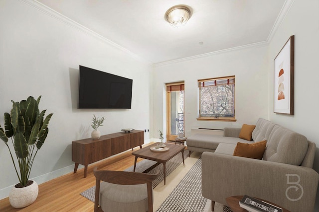 living area with baseboards, ornamental molding, and light wood-type flooring
