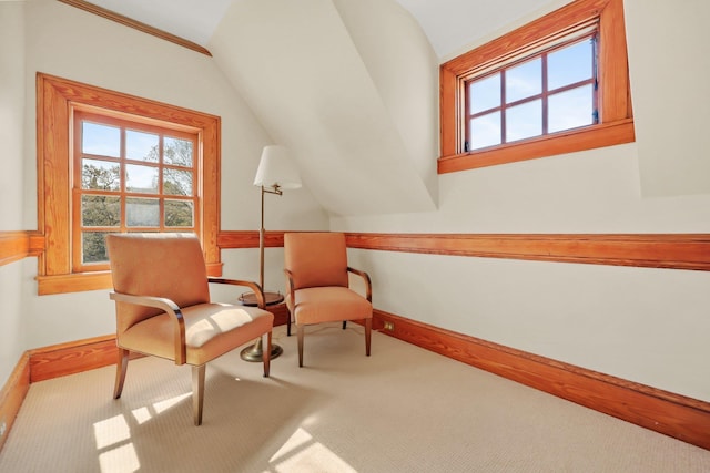 living area with lofted ceiling and a wealth of natural light