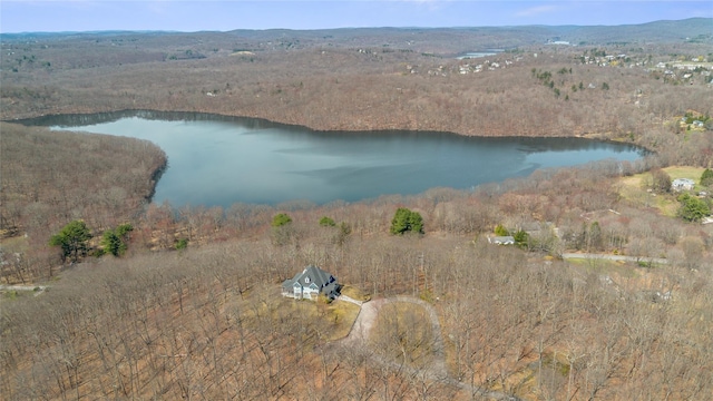 drone / aerial view with a wooded view and a water view