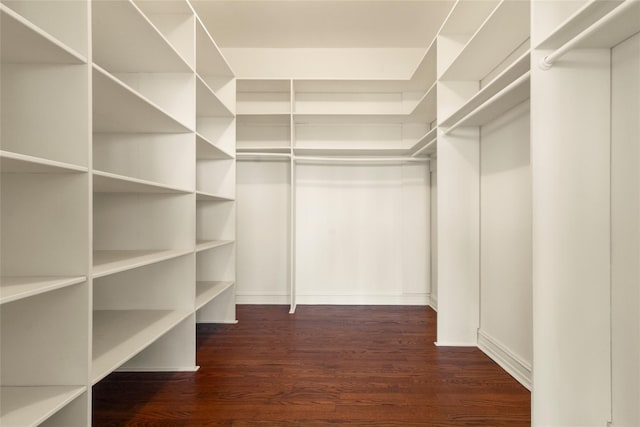 walk in closet featuring dark wood-style floors