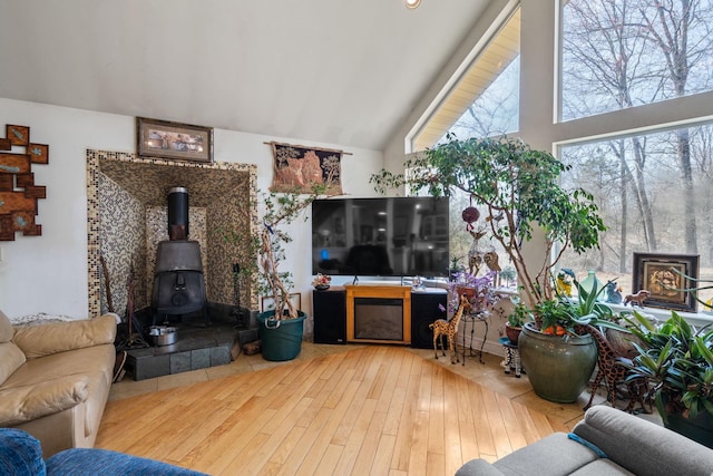 225 Toleman Rd, Washingtonville, NY 10992 - living area featuring a wood stove, wood finished floors, and high vaulted ceiling