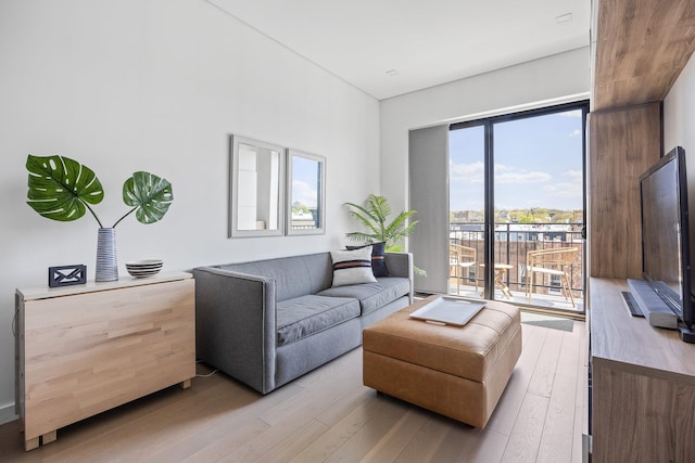 1043 Halsey St Unit 4, Brooklyn, NY 11207 - living area featuring light wood-style flooring