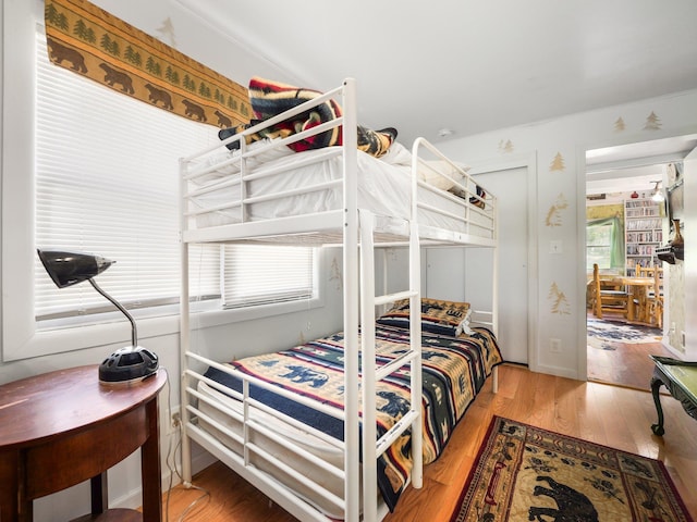 236 Lakeview Drive Rd, Eldred, NY 12743 - bedroom featuring wood-type flooring