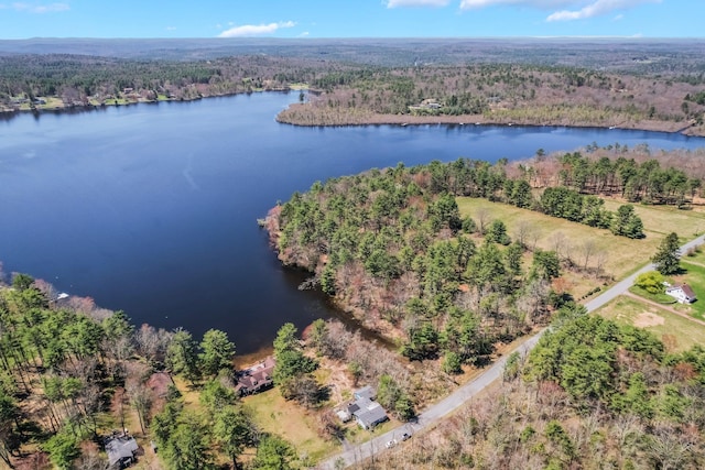 236 Lakeview Drive Rd, Eldred, NY 12743 - aerial view featuring a water view and a wooded view