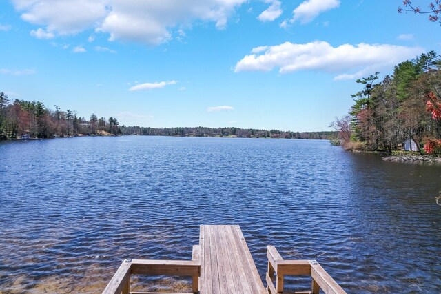 236 Lakeview Drive Rd, Eldred, NY 12743 - view of dock with a water view