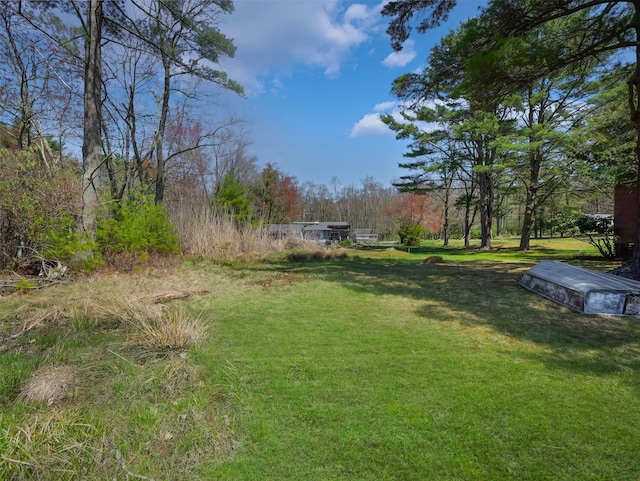 236 Lakeview Drive Rd, Eldred, NY 12743 - view of yard