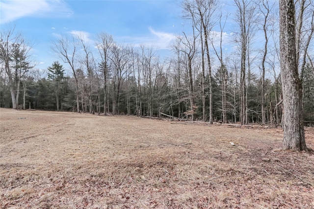 view of local wilderness with a wooded view