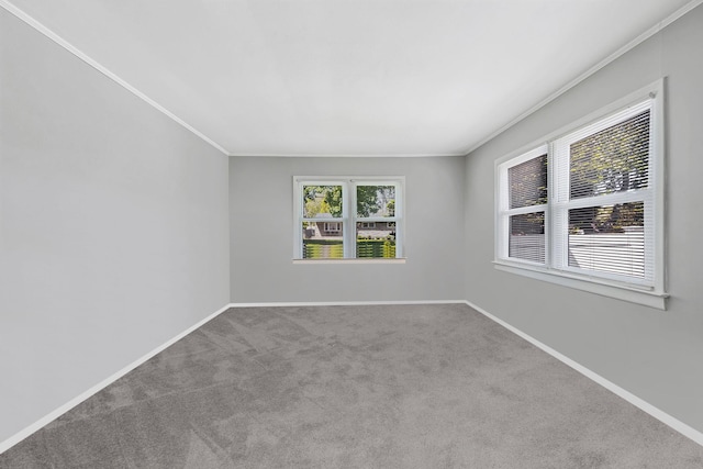 53 Abinet Ct, Selden, NY 11784 - carpeted empty room featuring ornamental molding and baseboards