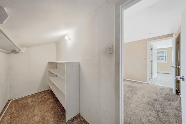 53 Abinet Ct, Selden, NY 11784 - walk in closet featuring carpet