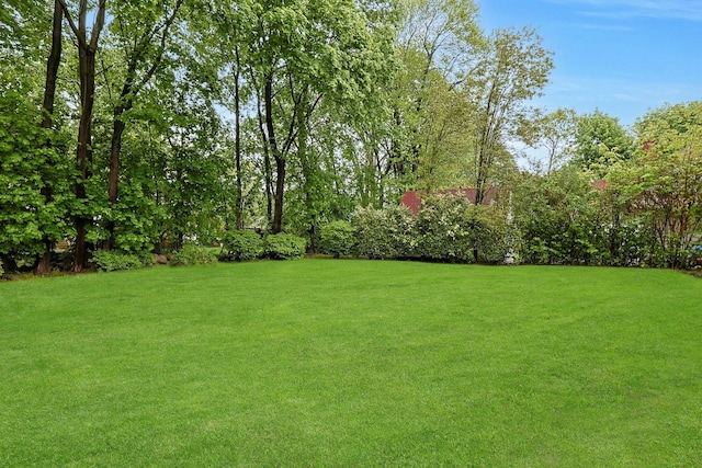 view of green lawn