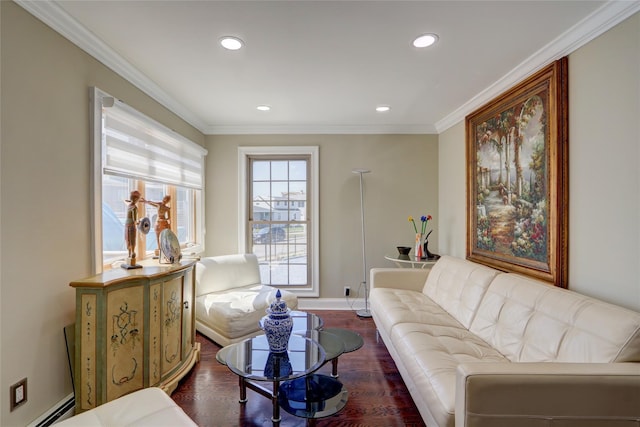 505 E Dr, Copiague, NY 11726 - living room with a baseboard heating unit, dark wood-style flooring, recessed lighting, crown molding, and baseboards