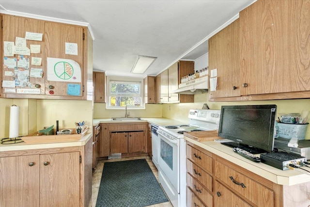 kitchen with electric stove, a sink, under cabinet range hood, and light countertops