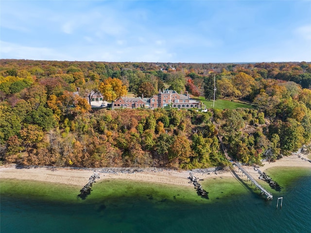 31 Fort Hill Dr, Lloyd Harbor, NY 11743 - birds eye view of property with a view of trees and a water view