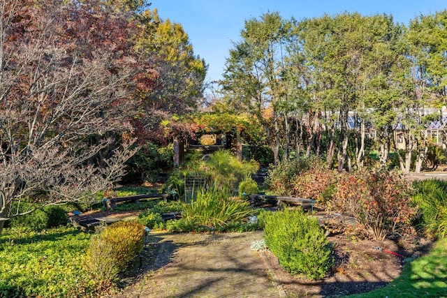 31 Fort Hill Dr, Lloyd Harbor, NY 11743 - view of community