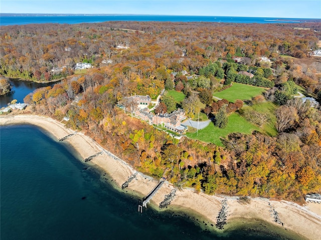 31 Fort Hill Dr, Lloyd Harbor, NY 11743 - photo 5