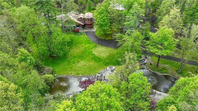 295 Krumville Rd, Olivebridge, NY 12461 - photo 3