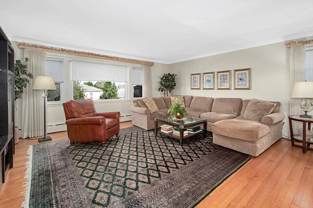 living room with a baseboard radiator, ornamental molding, and wood finished floors