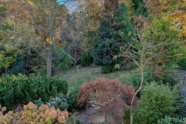 view of yard featuring a wooded view