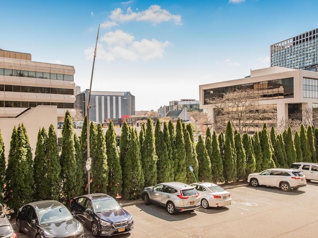25 Rockledge Ave Unit 117, White Plains, NY 10601 - view of uncovered parking lot