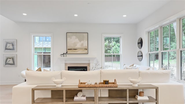 8 Marker Rdg Unit 4, Irvington, NY 10533 - living room with healthy amount of natural light, a premium fireplace, wood finished floors, and recessed lighting