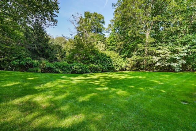 17 Eastwoods Rd, Pound Ridge, NY 10576 - view of green lawn