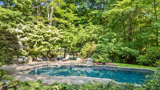 17 Eastwoods Rd, Pound Ridge, NY 10576 - outdoor pool featuring a patio
