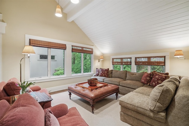 17 Eastwoods Rd, Pound Ridge, NY 10576 - view of living area