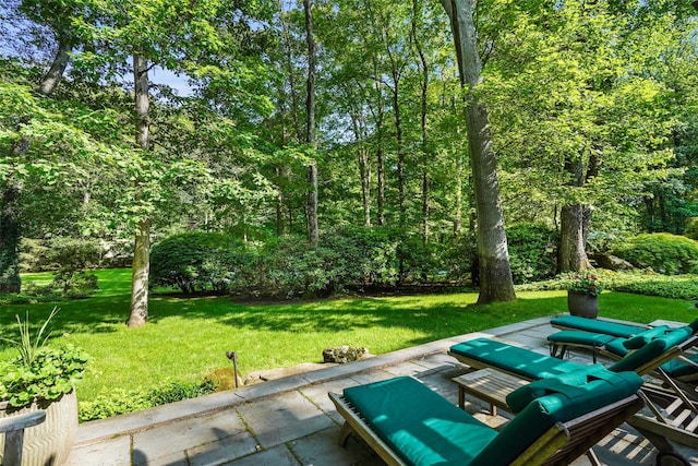 17 Eastwoods Rd, Pound Ridge, NY 10576 - view of grassy yard featuring a patio