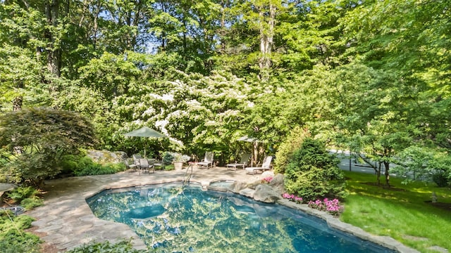17 Eastwoods Rd, Pound Ridge, NY 10576 - swimming pool with a patio area and a lawn