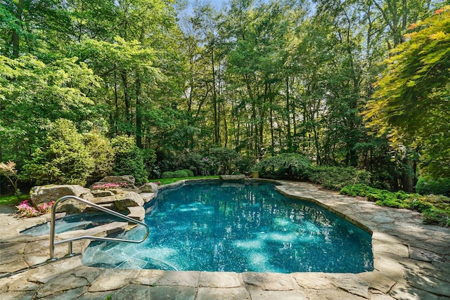17 Eastwoods Rd, Pound Ridge, NY 10576 - swimming pool featuring a forest view and a patio