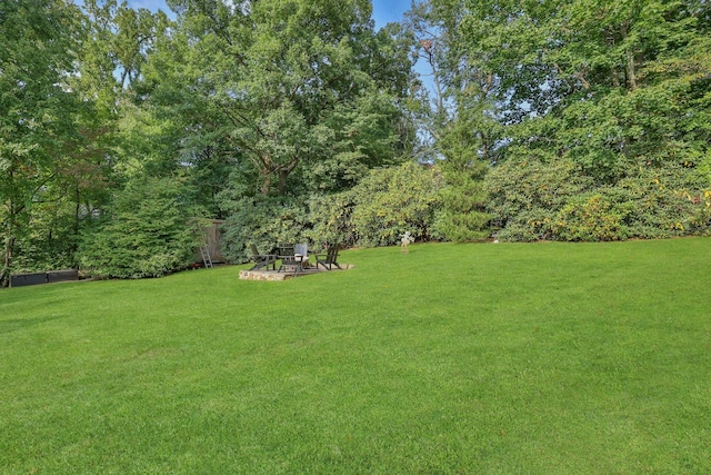165 Valley Rd, New Rochelle, NY 10804 - view of yard