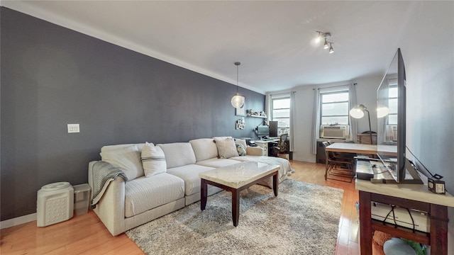 living area featuring light wood-style floors