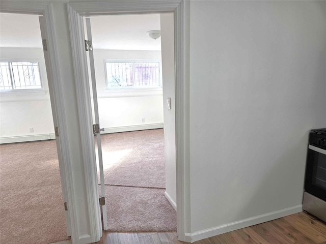 134-15 160th St, Jamaica, NY 11434 - hall with healthy amount of natural light, carpet, baseboards, and wood finished floors
