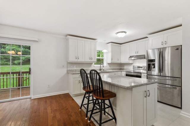 kitchen featuring stainless steel appliances, under cabinet range hood, a sink, and healthy amount of natural light