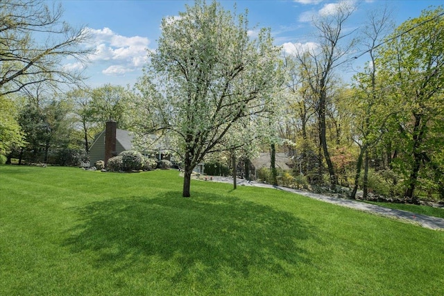 15 Scarsdale Farm Rd, Scarsdale, NY 10583 - view of yard