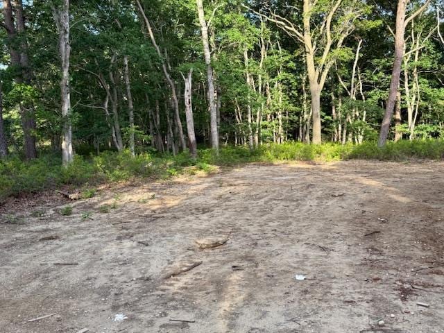 403 Moriches-Middle Island Rd, Manorville, NY 11949 - view of local wilderness