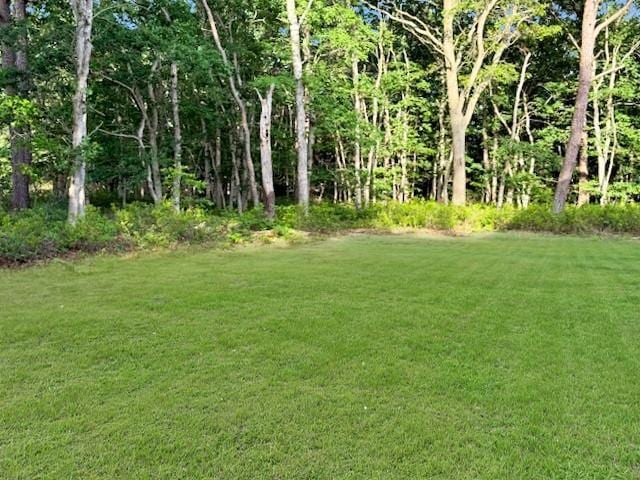 403 Moriches-Middle Island Rd, Manorville, NY 11949 - view of green lawn