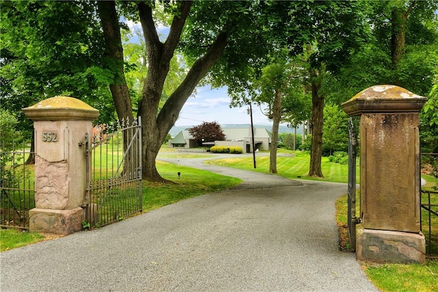 view of street with a gated entry, a gate, and driveway