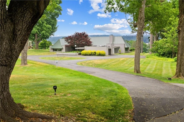 view of community featuring a yard
