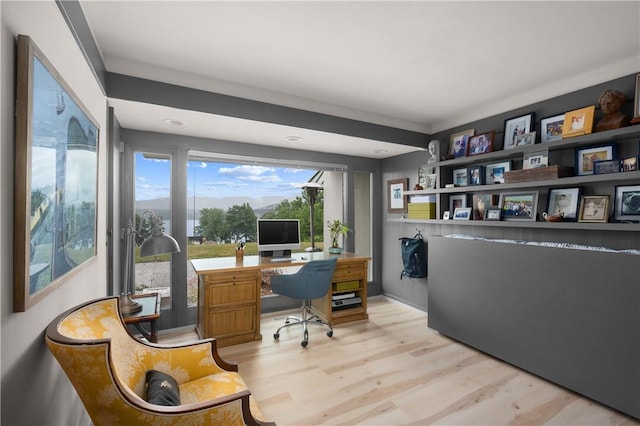 home office featuring light wood-style flooring