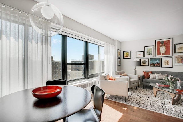 living area featuring wood finished floors and a city view