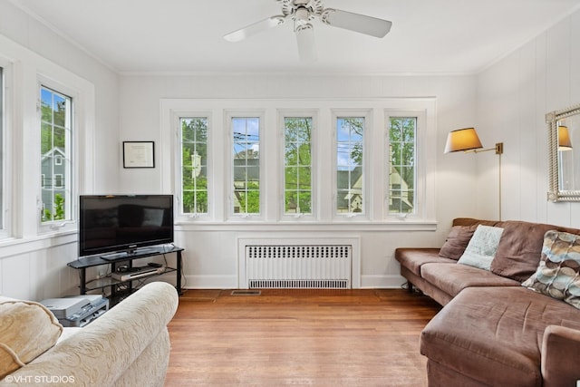 living room with radiator, crown molding, wood finished floors, healthy amount of natural light, and a decorative wall